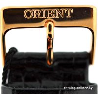 Наручные часы Orient FUG1R005W