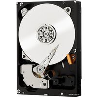 Жесткий диск WD RE 1TB (WD1003FBYZ)