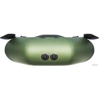 Моторно-гребная лодка Аква-Мастер 260 (зеленый)