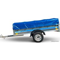 Одноосный прицеп Кремень Стандарт Плюс 2.5x1.3x0.3