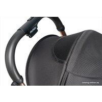 Коляска прогулочная «книга» Farfello Sunrise FS-002 (черный/золото)