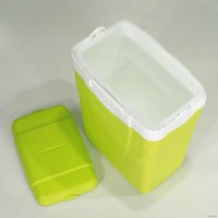 Термобокс Picnic Antarctica 12л (зеленый/киви)