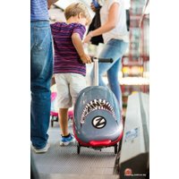 Трехколесный самокат Zinc Flyte Panda