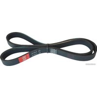 Ремень Belmash (Белмаш) поликлиновой 6PJ813