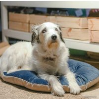 Лежак Ferplast Prince 55 (синий/бежевый)