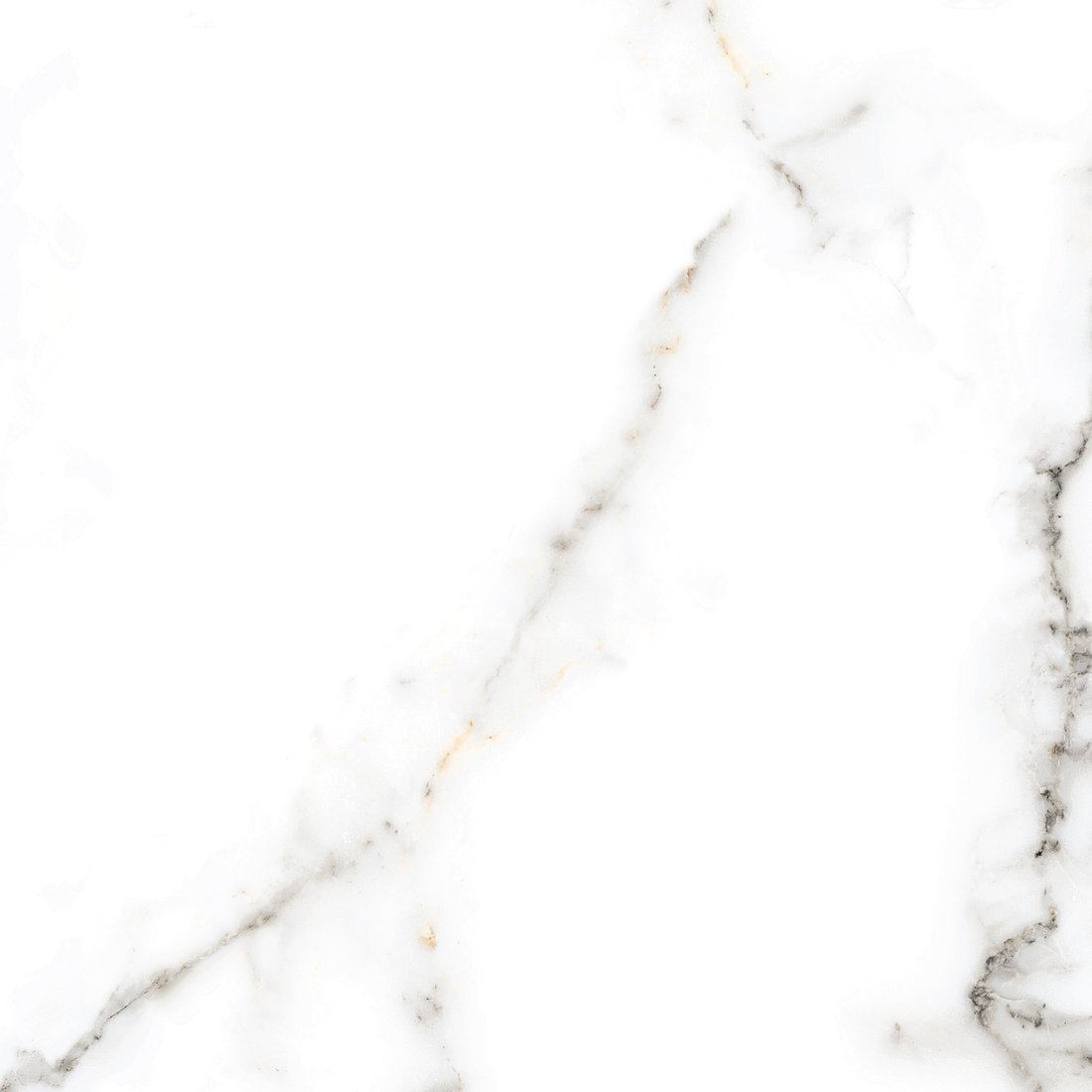 

Керамогранит (плитка грес) Netto Carrara Polished 800x800