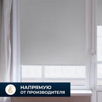 Рулонные шторы Franc Gardiner Blackout Dublin 100x160 7799668 (белый)