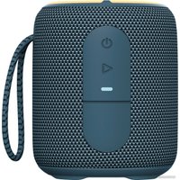 Беспроводная колонка Aiwa PAS-H100 (темно-синий) в Витебске