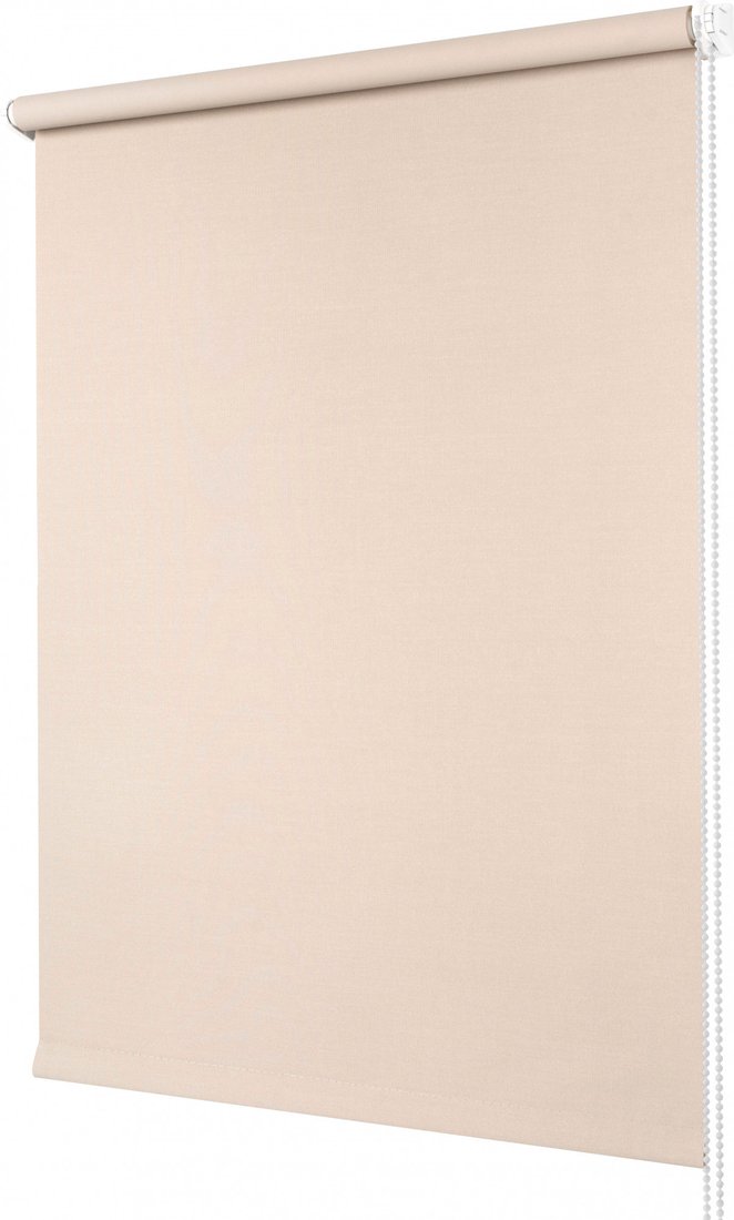 

Рулонные шторы Legrand Мона 90x175 58127696 (латте)