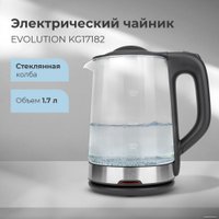 Электрический чайник Evolution KG17182