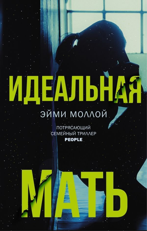 

АСТ. Идеальная мать (Моллой Эйми)