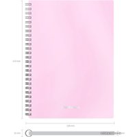 Общая тетрадь Erich Krause Candy 80 л клетка 54111