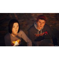  Life is Strange 2: Полное издание для PlayStation 4
