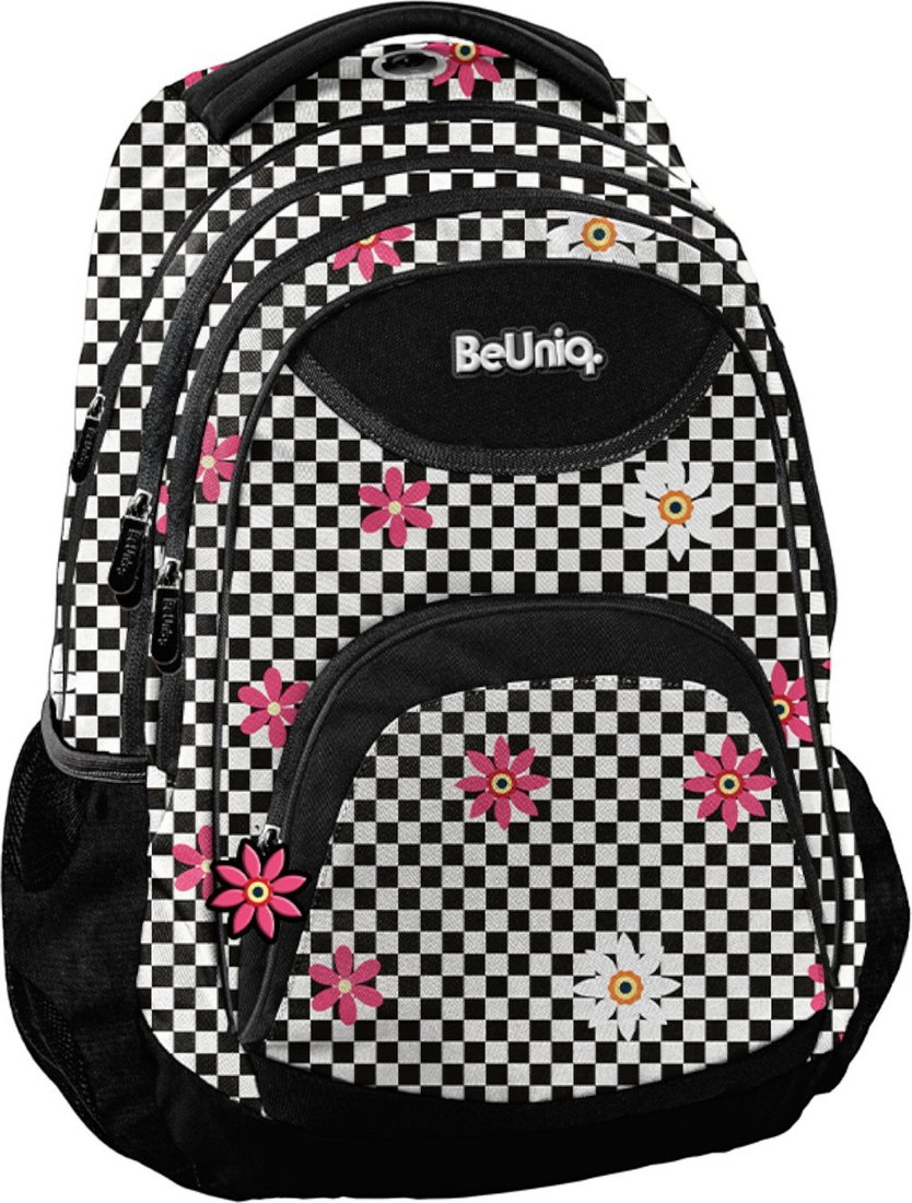 Школьный рюкзак Paso BU26RK-2708