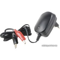 Зарядное устройство Robiton LAC12-500