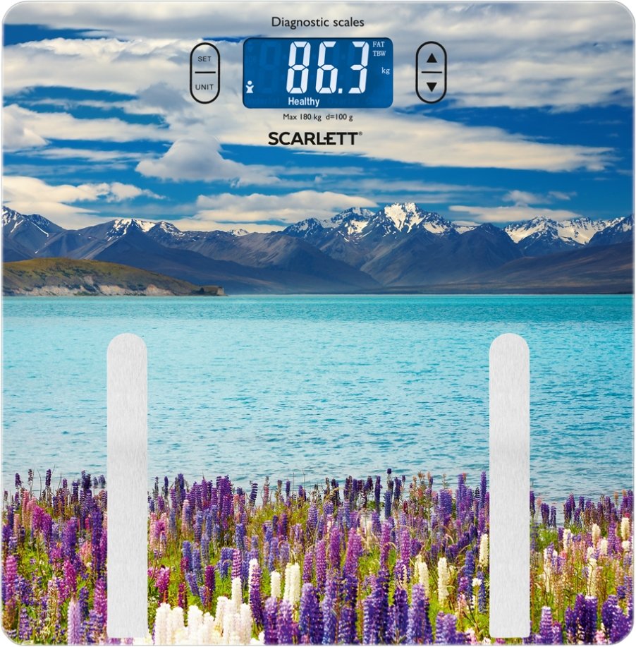 

Напольные весы Scarlett SC-BS33ED11