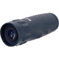 Монокуляр Levenhuk Discovery Gator 10x25 78232