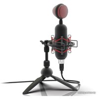 Проводной микрофон Ritmix RDM-230 USB Eloquence