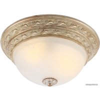 Светильник-тарелка Arte Lamp Piatti A8013PL-2WA