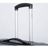 Чемодан-спиннер Francesco Molinary 336-161426/3-20 (серый)