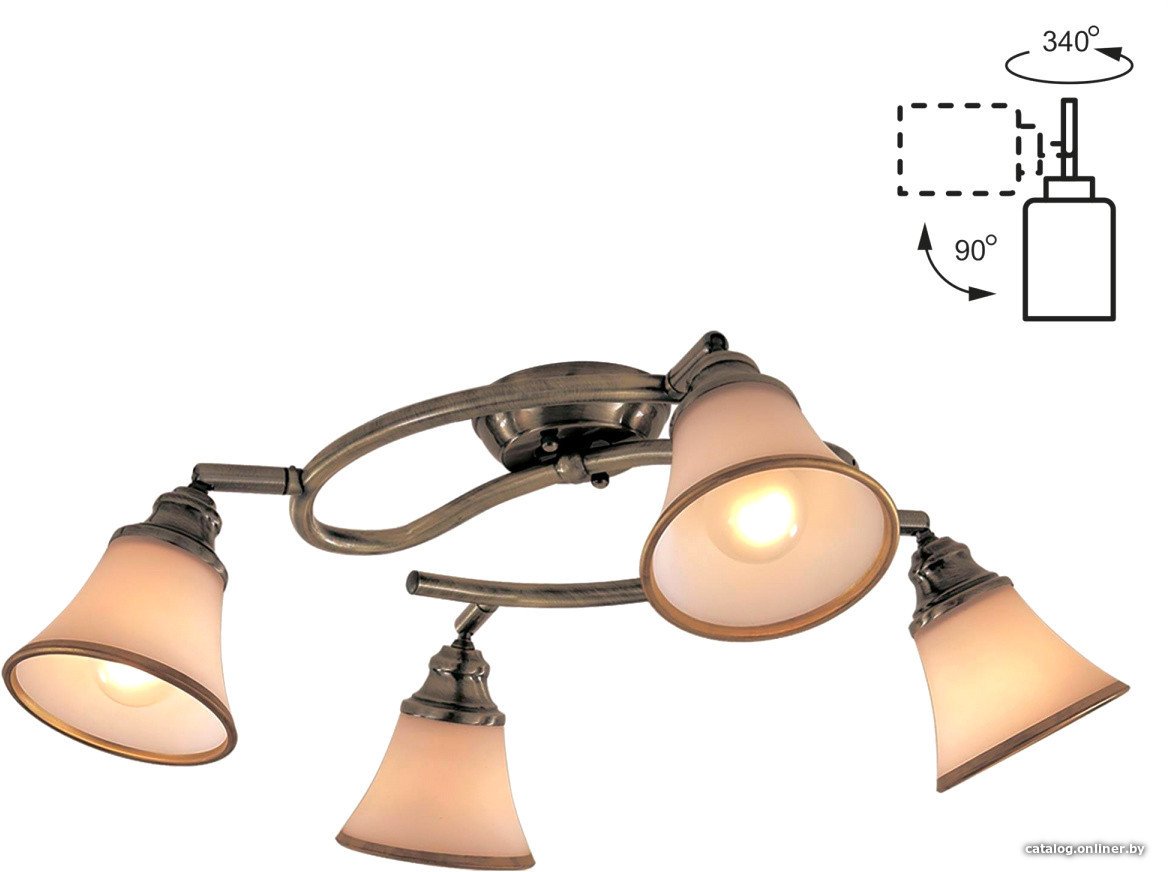 

Спот Citilux Прованс CL511143