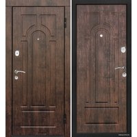Металлическая дверь Титан Триумф