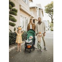 Коляска прогулочная «книга» Anex Air-x 2022 (green)