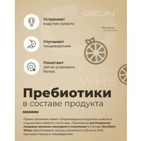 Протеин сывороточный (концентрат) Geon Excellent Whey (двойной моккачино, 920 г) в Бобруйске