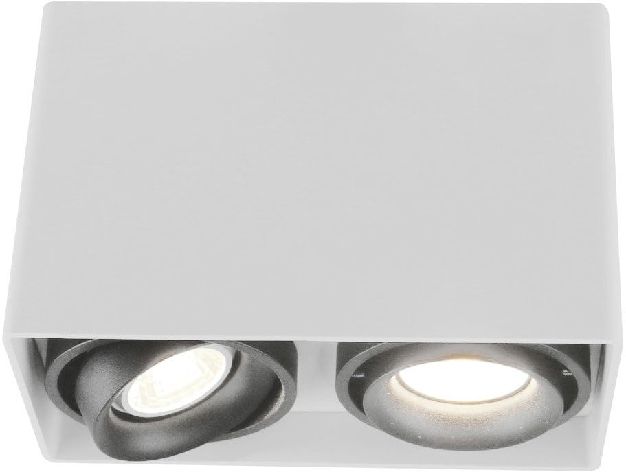 

Точечный светильник Arte Lamp Pictor A5655PL-2WH