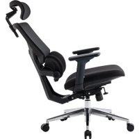 Офисное кресло Evolution LumbarPro AL (черный)