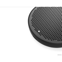 Беспроводная колонка Bang & Olufsen Beoplay P2 (черный)