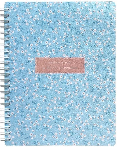 

Общая тетрадь Be Smart Joli N1928 (120 л, голубой)