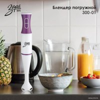 Погружной блендер Заря 300-01