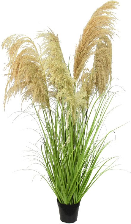 Искусственное растение Flower-ej Пампасная трава искусственная 150 см DIC215B3