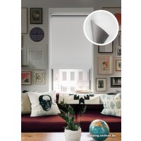 Рулонные шторы Эскар Вlackout 48х170 814650481601 (белый)