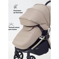 Универсальная коляска Rant Flex Therm RA112 (2 в 1, sandy beige)