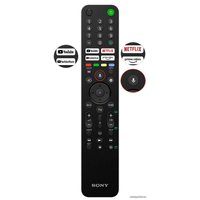Телевизор Sony KD-55X80J