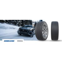 Зимние шины Habilead IceMax RW501 235/55R19 105H