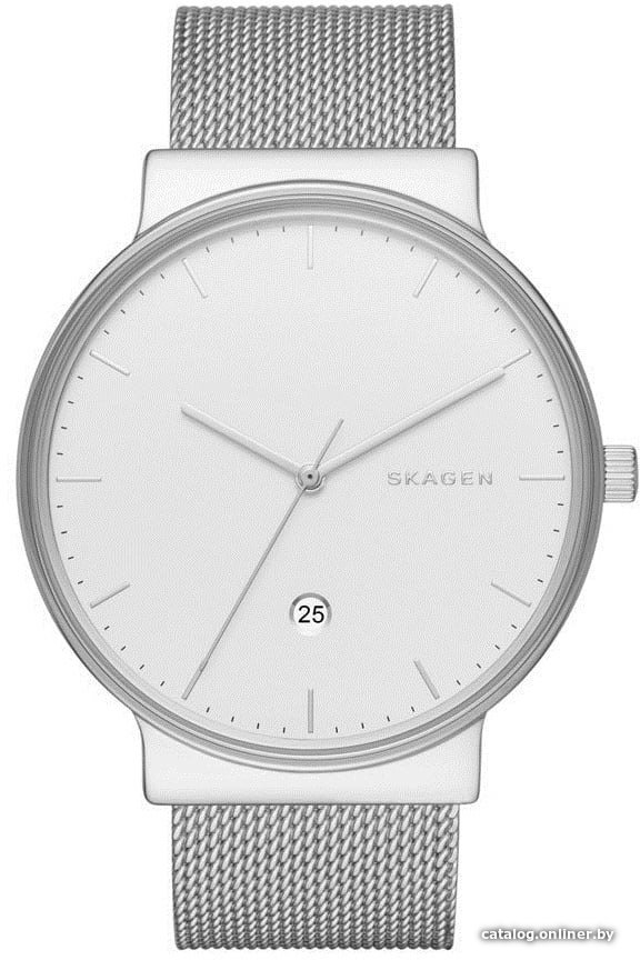 Наручные часы Skagen SKW6290