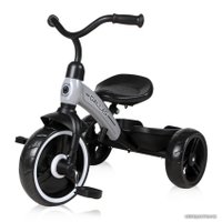 Детский велосипед Lorelli Dallas (серый)