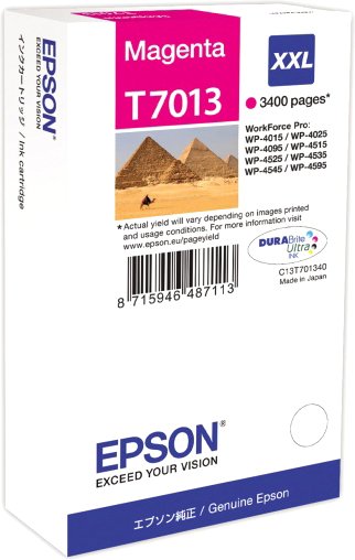 

Картридж Epson C13T70134010