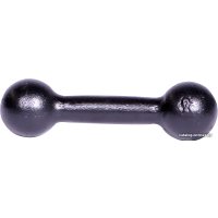 Гантель Titan литая ГЛЧ/2 2 кг