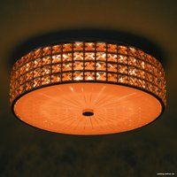 Припотолочная люстра Citilux Портал CL32415G1 в Гомеле