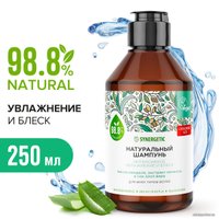 Шампунь Synergetic Интенсивное увлажнение и блеск 250 мл
