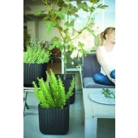 Кашпо Keter Cube Planter M 230227 (антрацит)
