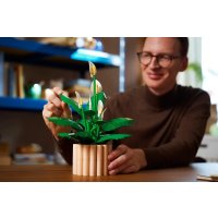 Конструктор LEGO The Botanical Collection 11504 Мирная лилия