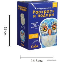 Набор для рисования Раскрась и подари Сова IG-1028