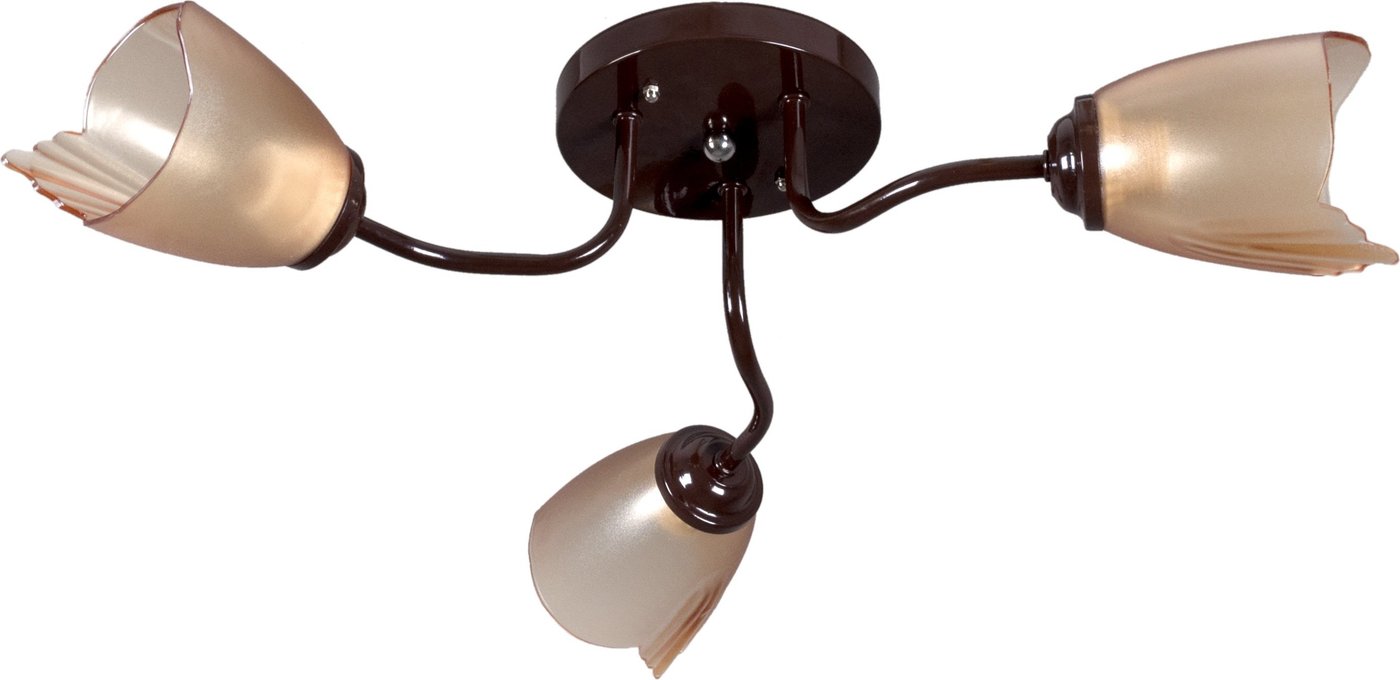 

Припотолочная люстра Lumix 1003/3 (коричневый)