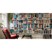 Полочная акустика DALI Oberon 1 Light Oak