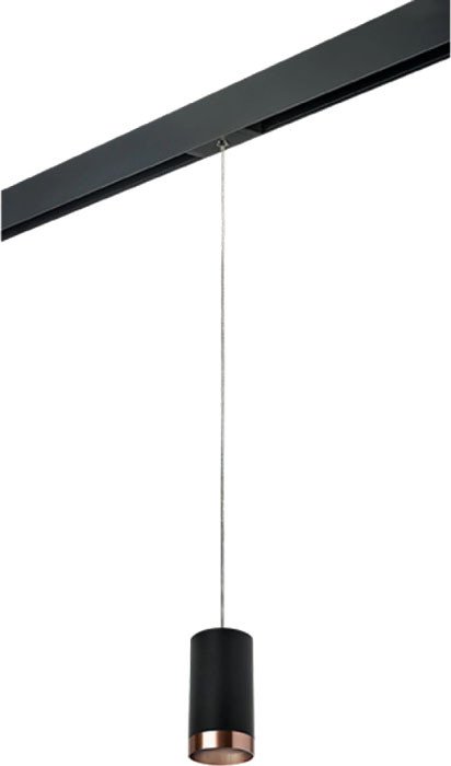 

Трековый светильник Lightstar Rullo PRORP437430